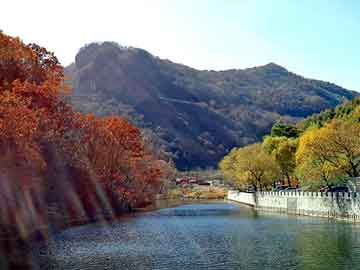 新澳天天开奖资料大全旅游团，钢塑土工格栅价格